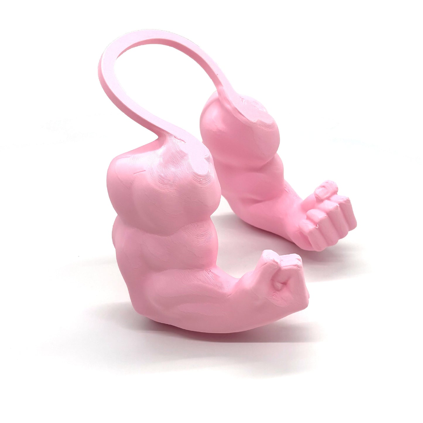3D Printed Cat Muscle Arm