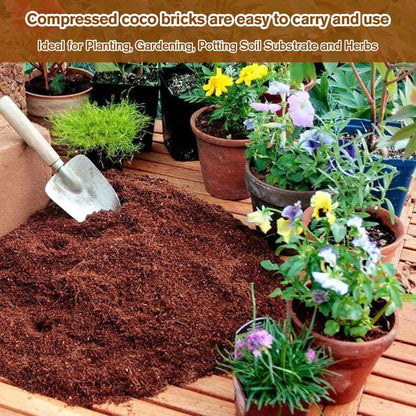 🔥 🌱 Premium Organic Coconut Coir Bricks For Plants🥥