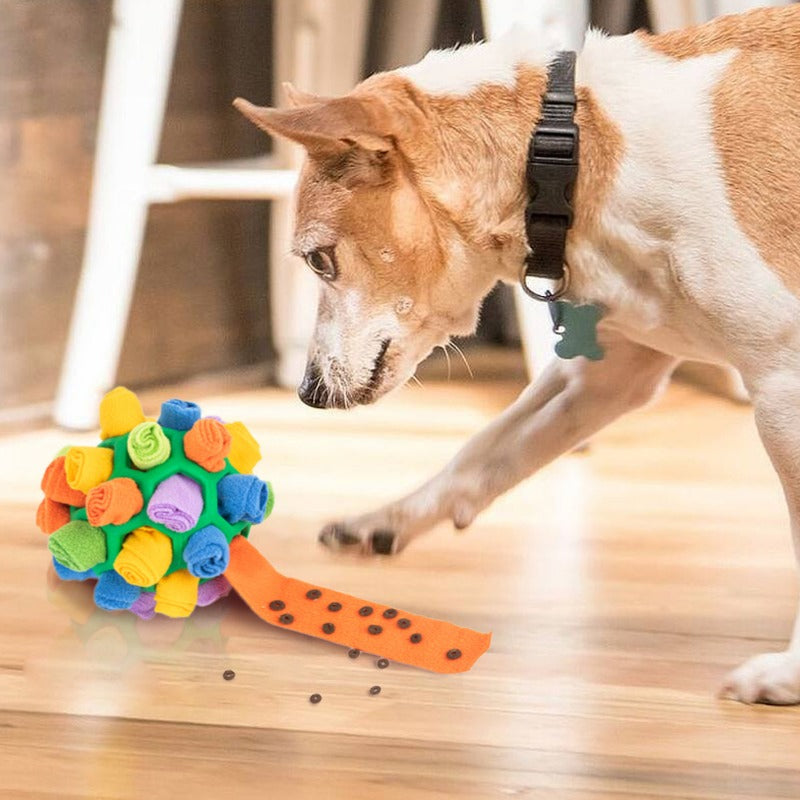 Pet sniffing ball