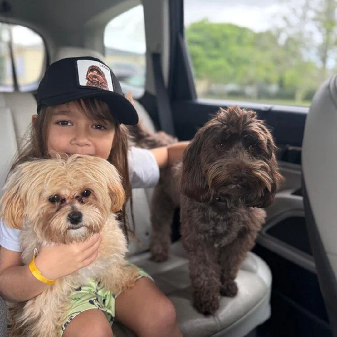The Original Personalized Pet Hat