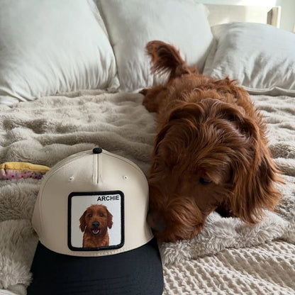 The Original Personalized Pet Hat
