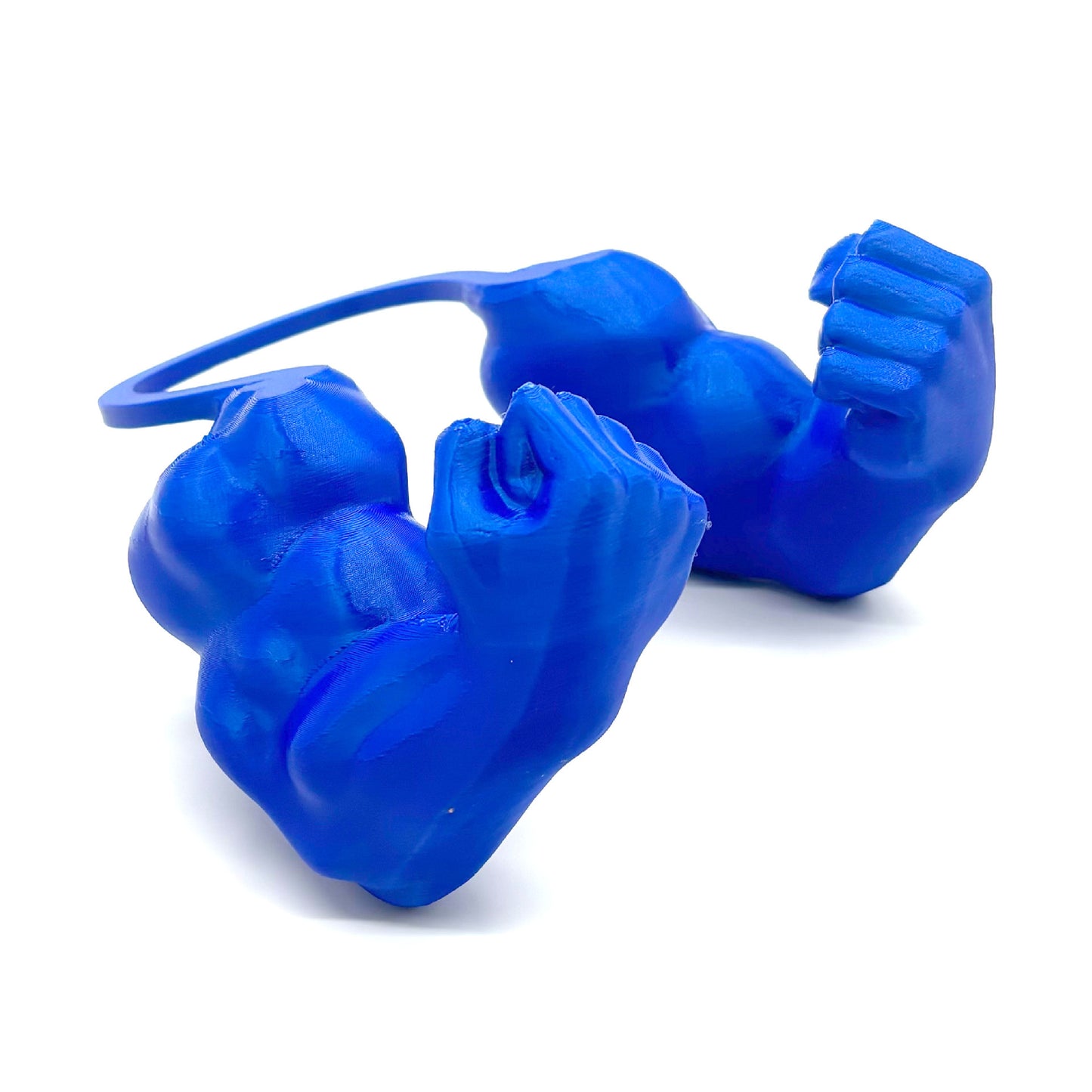 3D Printed Cat Muscle Arm