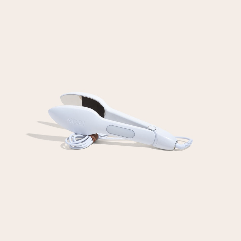 Handheld Steam Iron