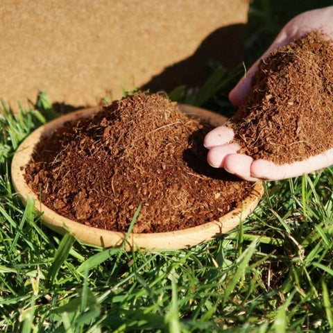 🔥 🌱 Premium Organic Coconut Coir Bricks For Plants🥥