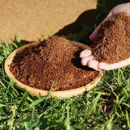 🔥 🌱 Premium Organic Coconut Coir Bricks For Plants🥥