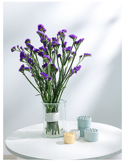 Clever Spiral Floral Arranger | Reusable Ikebana Stem Holder for Effortless Bouquets
