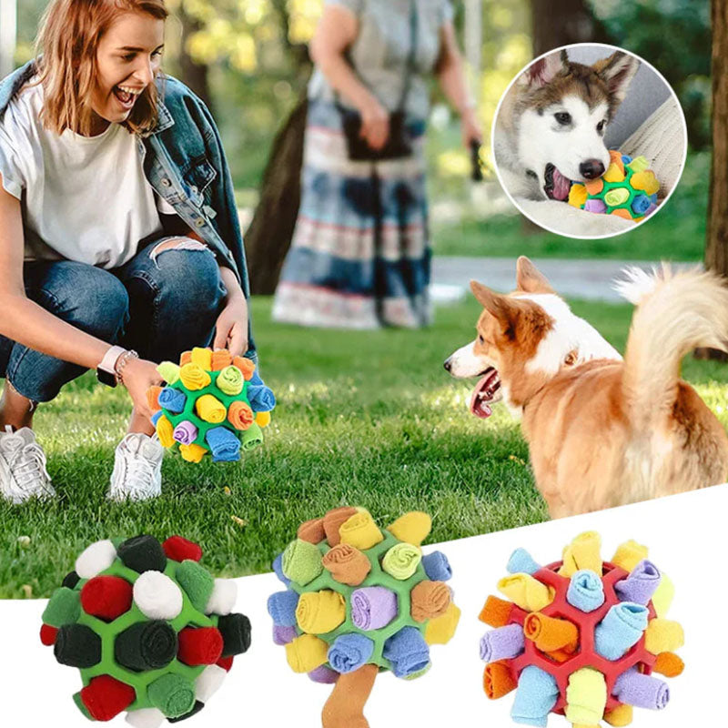 Interactive Treat Game