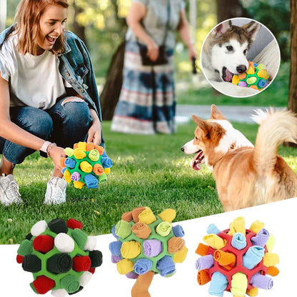 Interactive Treat Game