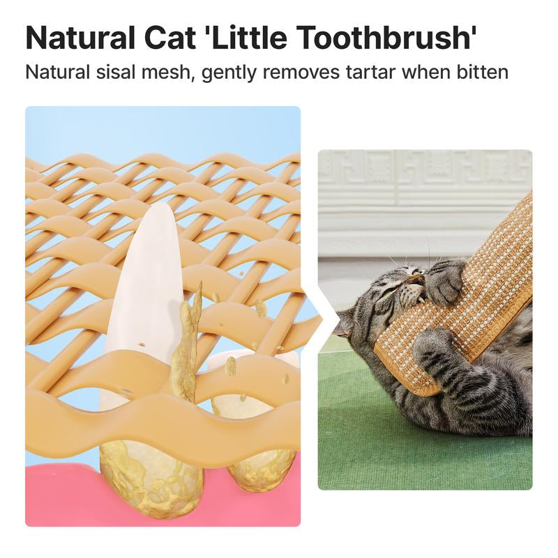 🔥🐱Interactive Catnip Chew Toy with 30,000mg A+ Organic Catnip