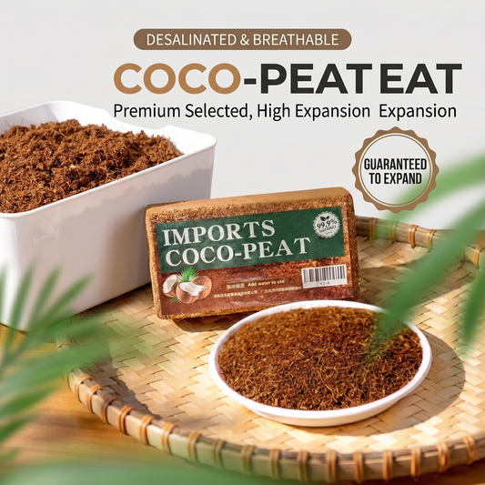 🔥 🌱 Premium Organic Coconut Coir Bricks For Plants🥥