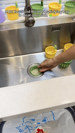 Magic Cactus Sink Strainer | Touch-Free Push-to-Dump Kitchen Drain Filter