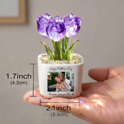 Personalized Photo Glass Tulip Potted Plant - Custom Flower Pot with Picture, Photo Gift for Mom, Mother’s Day Gift, Birthday Gift for Mom - Personalized Photo Glass Tulip