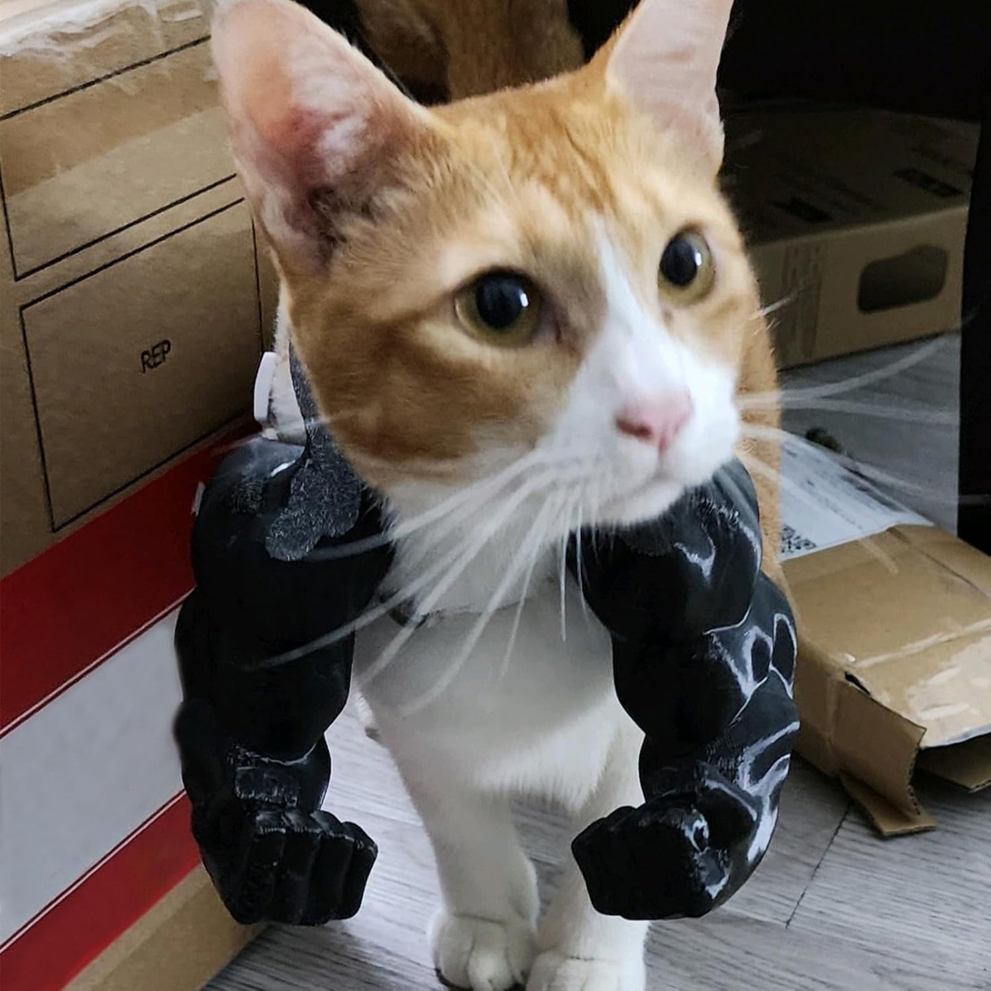 3D Printed Cat Muscle Arm