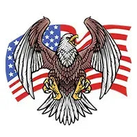 Custom Name American Pride Patriotic 250th Anniversary Eagle Hawaii Shirt