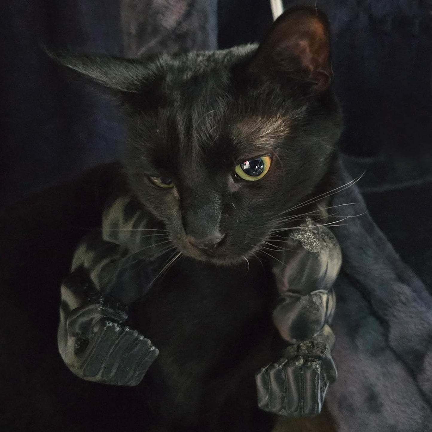 3D Printed Cat Muscle Arm