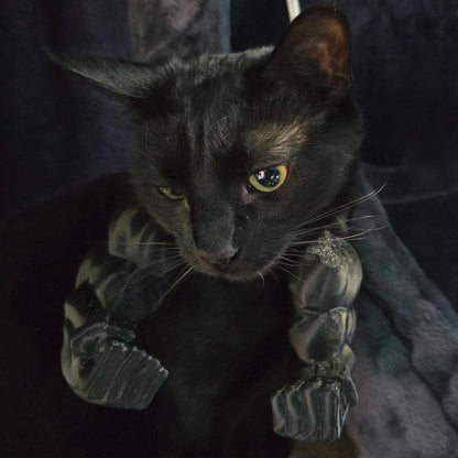3D Printed Cat Muscle Arm