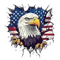 Custom Name American Pride Patriotic 250th Anniversary Eagle Hawaii Shirt