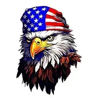 Custom Name American Pride Patriotic 250th Anniversary Eagle Hawaii Shirt