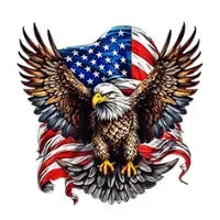 Custom Name American Pride Patriotic 250th Anniversary Eagle Hawaii Shirt