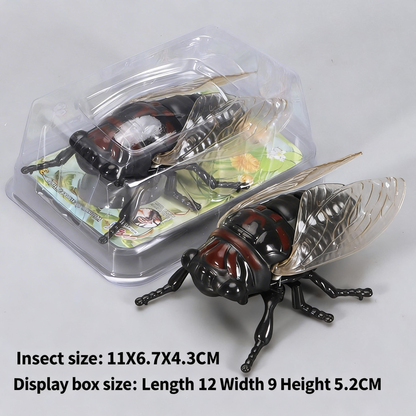Beetle simulation clockwork toy