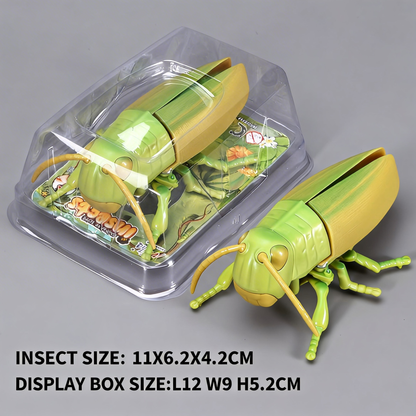 Beetle simulation clockwork toy