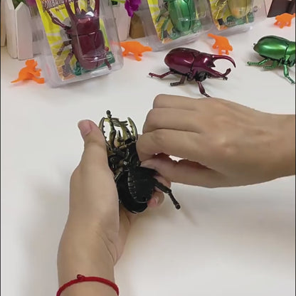 Beetle simulation clockwork toy